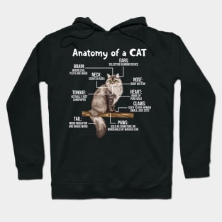 Funny Anatomy Of A Cat - Cute Funny Kitty Kitten Feline Pet Lover Hoodie